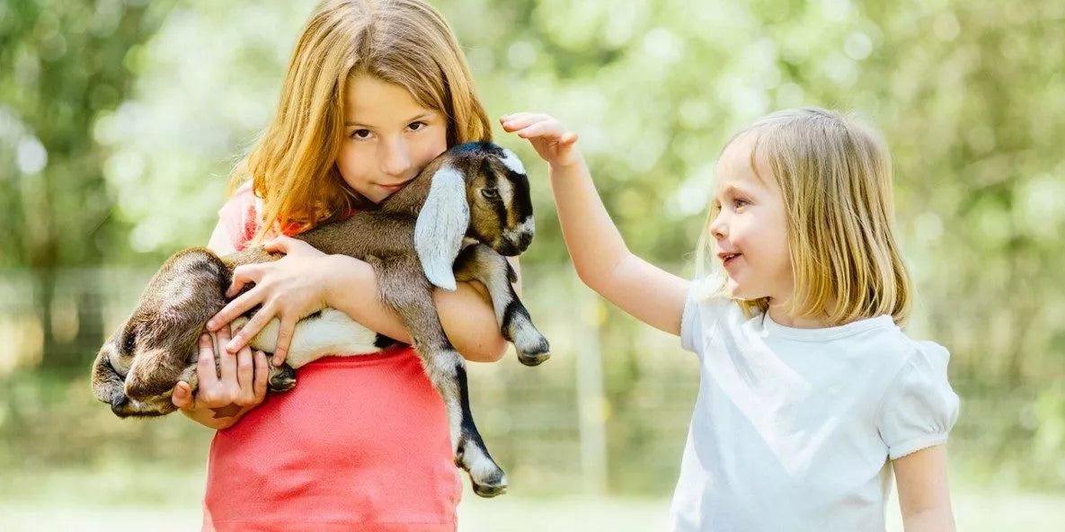 Où voir des animaux avec les enfants