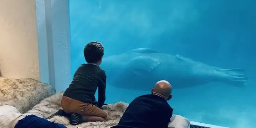 Communion et fête de printemps : 50 idées de cadeaux “expériences”